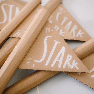 Stark Projekt |