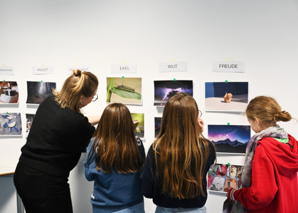 Stark Projekt | Workshop 