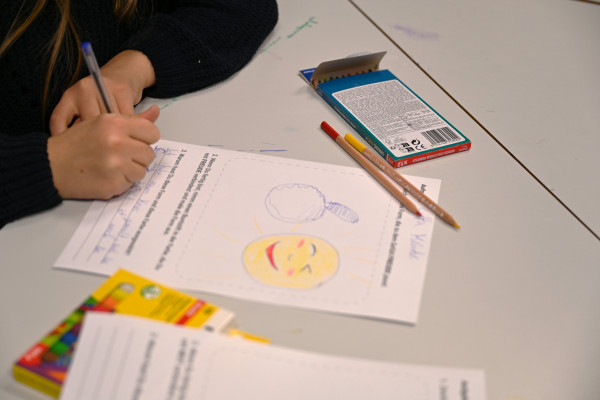 Stark Projekt | Workshop