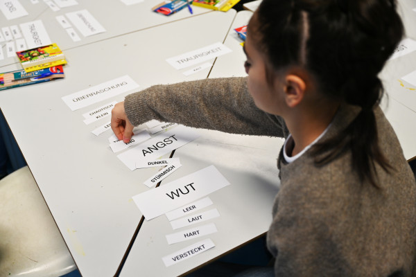 Stark Projekt | Workshop