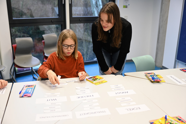 Stark Projekt | Workshop